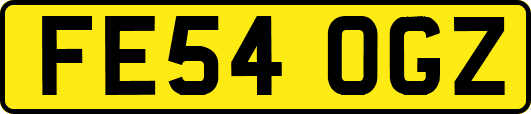FE54OGZ