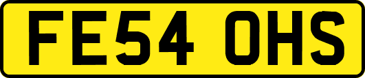 FE54OHS