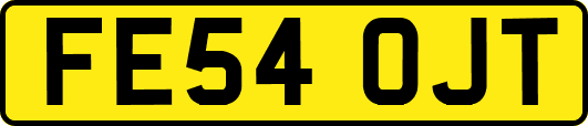 FE54OJT
