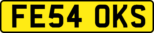 FE54OKS