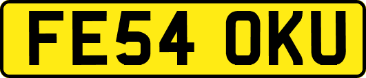 FE54OKU