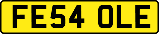 FE54OLE