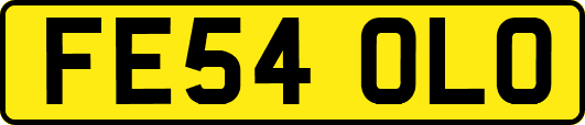 FE54OLO