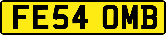 FE54OMB