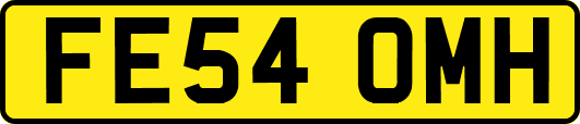 FE54OMH