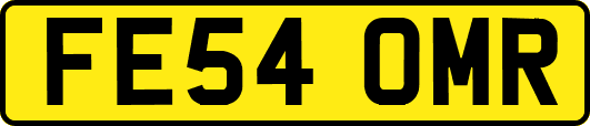 FE54OMR