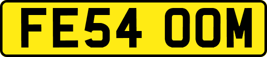 FE54OOM