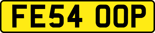 FE54OOP
