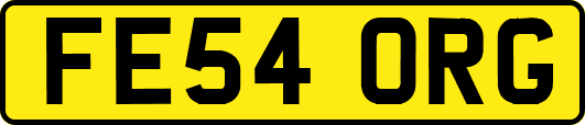 FE54ORG