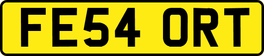 FE54ORT
