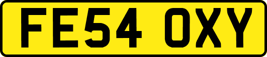 FE54OXY