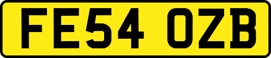 FE54OZB