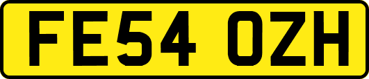 FE54OZH
