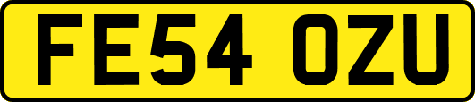 FE54OZU