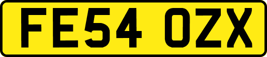 FE54OZX