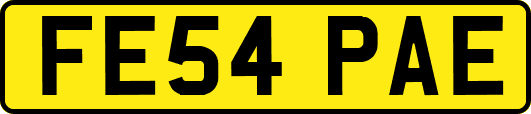 FE54PAE