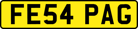 FE54PAG
