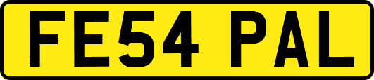FE54PAL