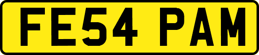 FE54PAM