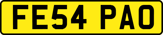 FE54PAO
