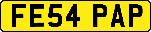 FE54PAP