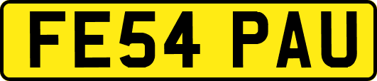 FE54PAU
