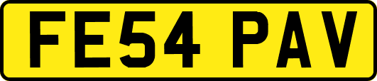 FE54PAV