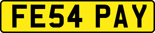 FE54PAY