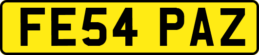 FE54PAZ