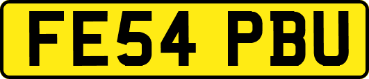 FE54PBU
