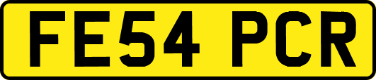 FE54PCR