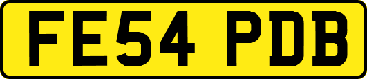 FE54PDB