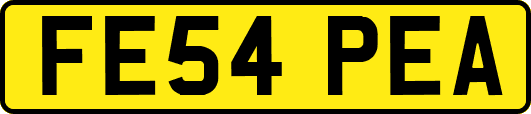 FE54PEA