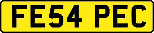 FE54PEC