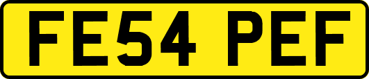FE54PEF