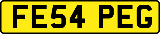 FE54PEG