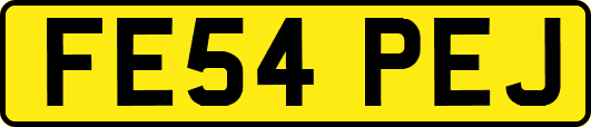 FE54PEJ