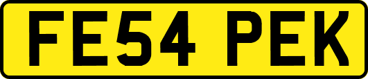 FE54PEK