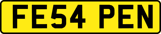 FE54PEN
