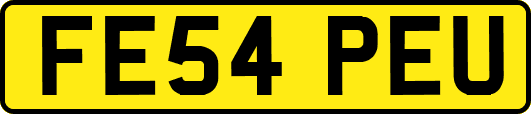FE54PEU