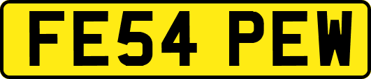 FE54PEW
