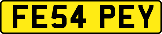 FE54PEY