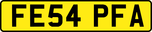 FE54PFA