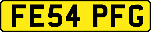 FE54PFG