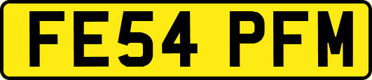 FE54PFM