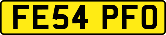 FE54PFO