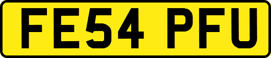 FE54PFU