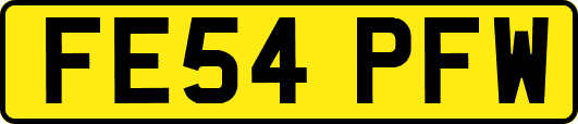 FE54PFW