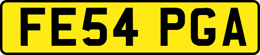 FE54PGA