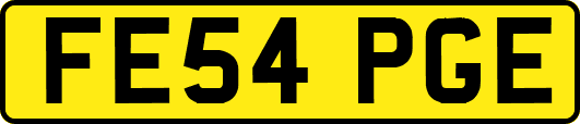 FE54PGE